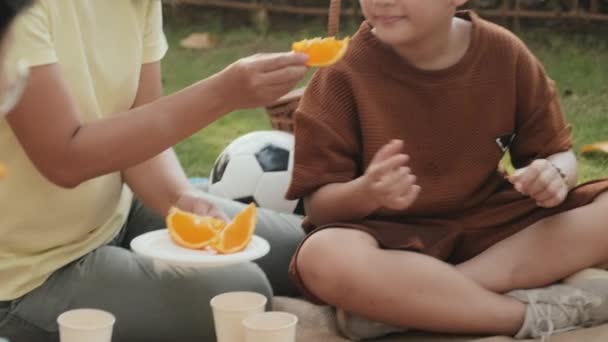 Döntetlen Fel Lövés Ázsiai Narancssárga Szelet Kisfia Mosolyog Miközben Piknik — Stock videók