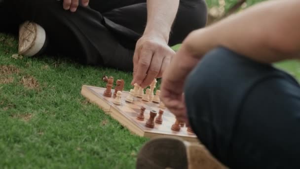 Tilt Shot Senior Asian Man Sitting Grass Park Playing Chess — Stock Video