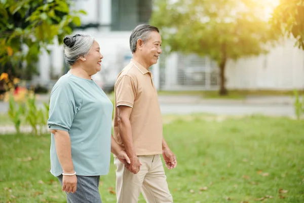 Happy Senior Couple Holding Hands Walking Park Oon Sunny Day — Stock Photo, Image