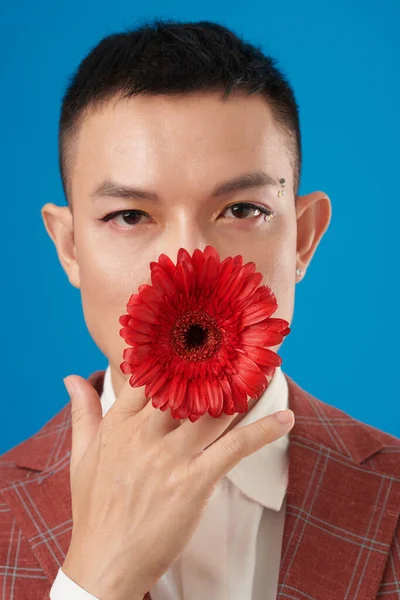 Kırmızı Gerbera Papatya Çiçekli Ciddi Bir Asyalı Genç Adam Kameraya — Stok fotoğraf