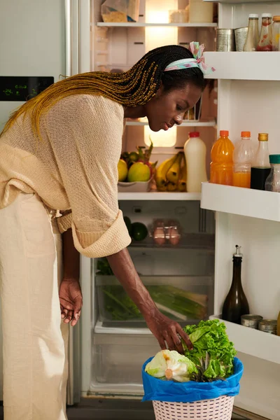 年轻的黑人妇女打扫她的冰箱 把腐烂的蔬菜放进篮子里作为有机废物 — 图库照片
