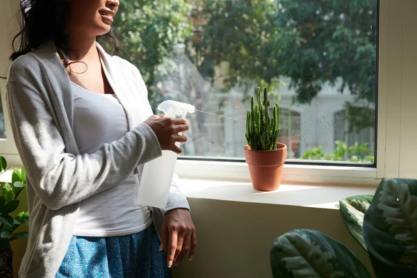 Femme Souriante Pulvérisant Cactus Sur Rebord Fenêtre Dans Son Appartement — Photo