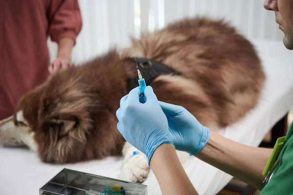 Χέρια Κτηνιάτρου Που Κρατούν Σύριγγα Εµβόλιο Για Σκύλους — Φωτογραφία Αρχείου