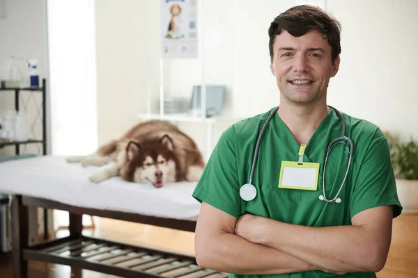 Porträtt Positiv Läkare Veterinärkliniken Stor Hund Liggande Bakgrunden — Stockfoto