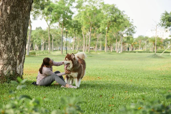Frau Spielt Mit Hund Stadtpark — Stockfoto