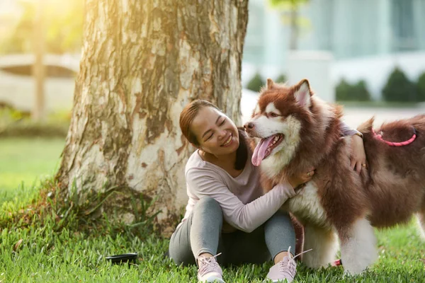 当他们在公园里呆着时 快乐的女人拥抱着她那只毛茸茸的大狗 — 图库照片
