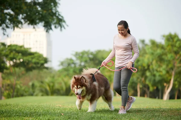 Vreugdevolle Aziatische Vrouw Wandelen Stadspark Met Samoyed Hond — Stockfoto