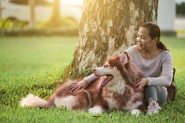 Lycklig Kvinna Sitter Träd Parken Och Klappar Stor Hund — Stockfoto
