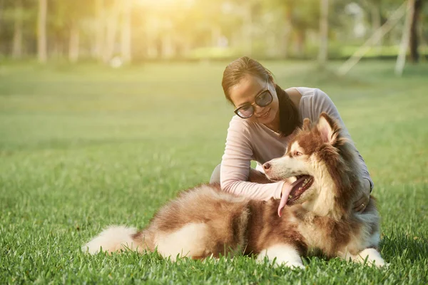 Lycklig Kvinna Leker Med Hunden Solig Sommarpark — Stockfoto