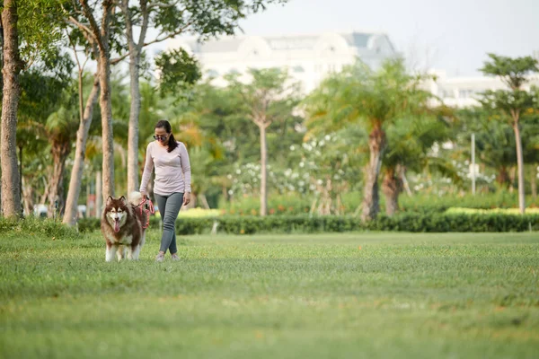 Mulher Andando Parque Verão Com Grande Cachorro Fofo — Fotografia de Stock