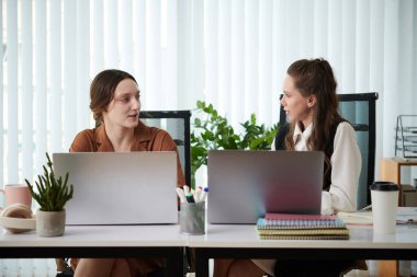 İş adamları iş konularını tartışıyor ve yeni pazarlama kampanyası planlıyorlar