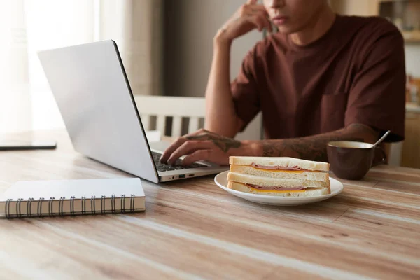 샌드위치와 집에서 노트북으로 일하는 — 스톡 사진