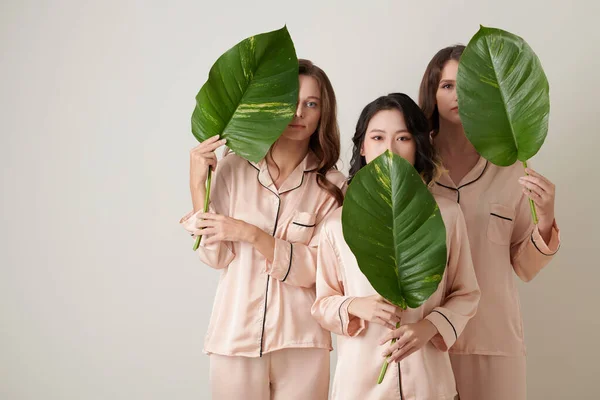 Três Jovens Mulheres Pijama Seda Rosa Claro Segurando Grandes Folhas — Fotografia de Stock