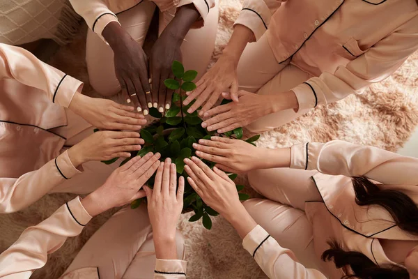 Группа Молодых Женщин Шелковой Пижаме Держащих Руки Горшок Пышным Растением — стоковое фото