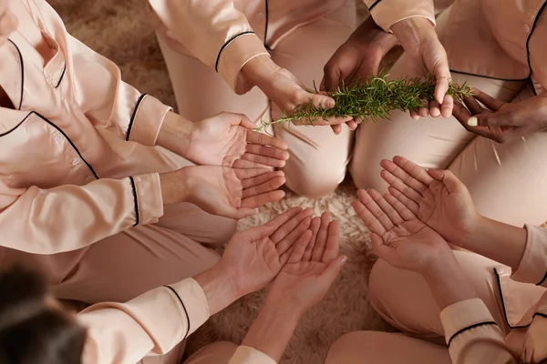 Mãos Mulher Dando Pedaços Alecrim Para Seu Amigo Para Ritual — Fotografia de Stock