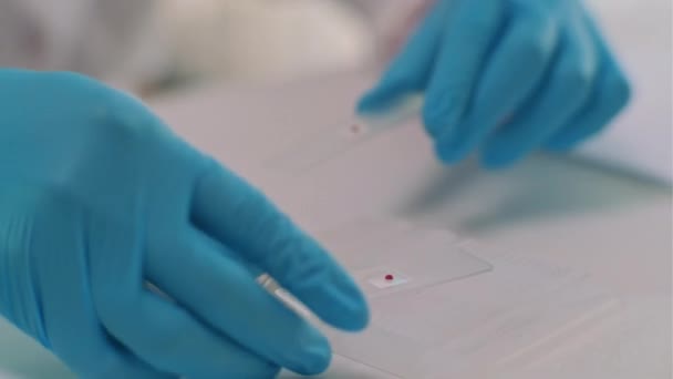 Químico Uniforme Branco Comparando Duas Placas Com Sangue Trabalhando Laboratório — Vídeo de Stock