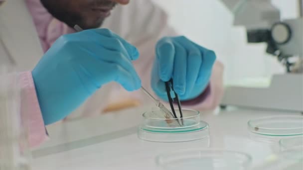 Κοντινό Πλάνο Του Μικροβιολόγου Προστατευτική Στολή Χρησιμοποιώντας Λαβίδες Και Τρυβλίο — Αρχείο Βίντεο