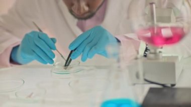 Koruyucu üniformalı kimyager ve tıbbi eldiven laboratuvar ekipmanları kullanarak petri kabında analiz yapıyor.