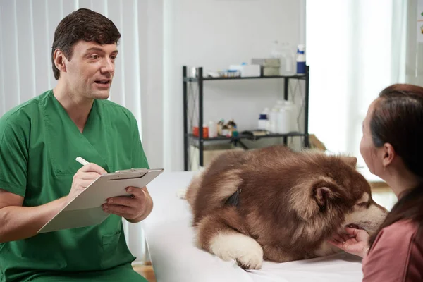 Κτηνίατρος Συνιστά Θεραπεία Για Τον Ιδιοκτήτη Του Samoyed Σκυλί — Φωτογραφία Αρχείου