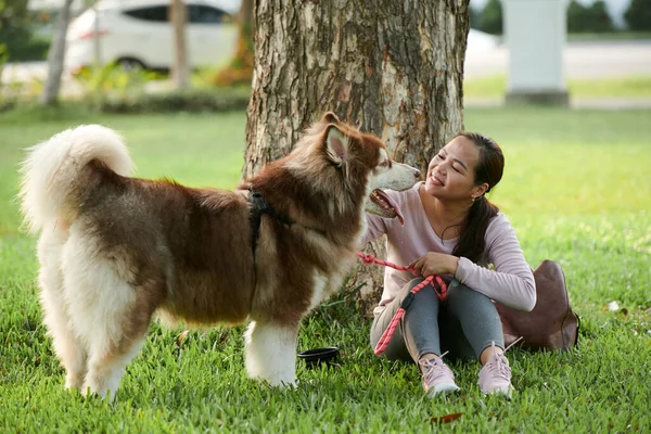 Mulher Alegre Brincando Com Filhote Cachorro Parque Ensolarado Pela Manhã — Fotografia de Stock