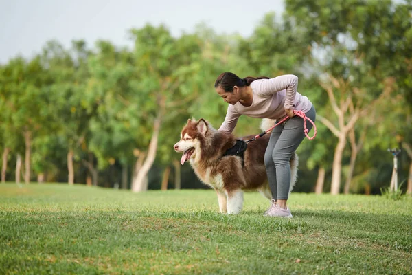夏の朝公園を歩いているときに同じ犬を撫でる女性 — ストック写真
