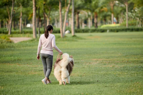 Vrouw Wandelen Met Grote Pluizige Hond Stadspark Uitzicht Van Achteren — Stockfoto