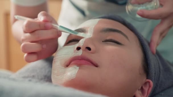 절차에 여자의 클로즈업 브러시와 클라이언트 얼굴에 마스크를 화장품 전문가 — 비디오