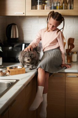 Saçları örülmüş bir kız mutfak tezgahında oturuyor ve mamayla beslendikten sonra köpeğini okşuyor.