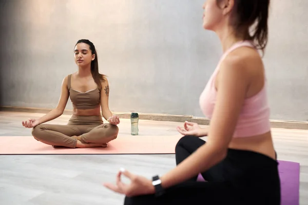 Jonge Vrouwen Die Yogales Volgen Samen Mediteren Een Ruime Studio — Stockfoto