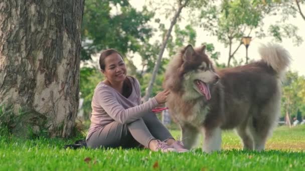 アジアの女性は 木の隣に座っている間 都市公園で彼女の大きなふわふわの犬をストローク — ストック動画