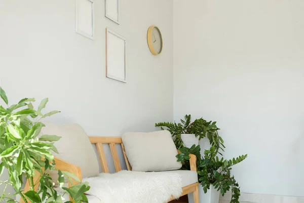 Appartement Interieur Met Lichte Muren Crème Kleur Bank Weelderige Planten — Stockfoto