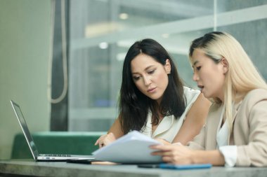 Proje üzerinde birlikte çalışan ciddi kadın girişimciler, belgelerdeki veri ve istatistikleri analiz ediyorlar ve