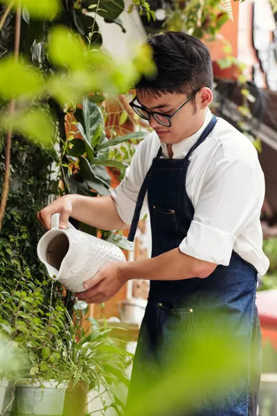 Young man watering plants in backyard of coffeeshop he is working at