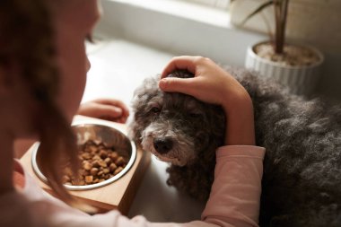 Küçük köpeğini mutfak tezgahında okşayan ve besleyen bir kız.