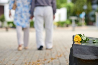 Yaşlı çiftin romantik randevusundan sonra parktaki bankta soldaki sarı gül.