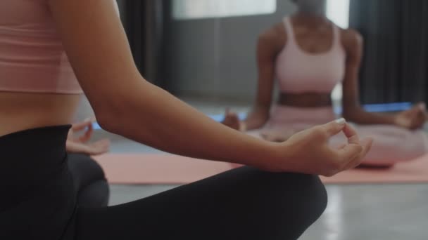 Beskuren Bild Grupp Oigenkännliga Idrottskvinnor Som Gör Asana Yogaklassen — Stockvideo