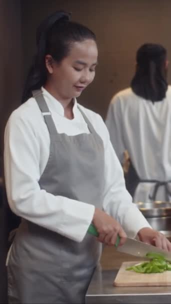 Retrato Vertical Chef Feminino Alegre Avental Cozinhando Salada Com Legumes — Vídeo de Stock