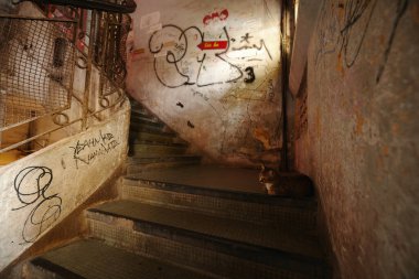 Pejmürde binadaki eski çürüyen merdivenlerde oturan sokak kedisi.