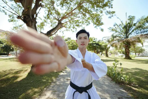 Taekwondo Atleet Oefent Palmstaking Park — Stockfoto