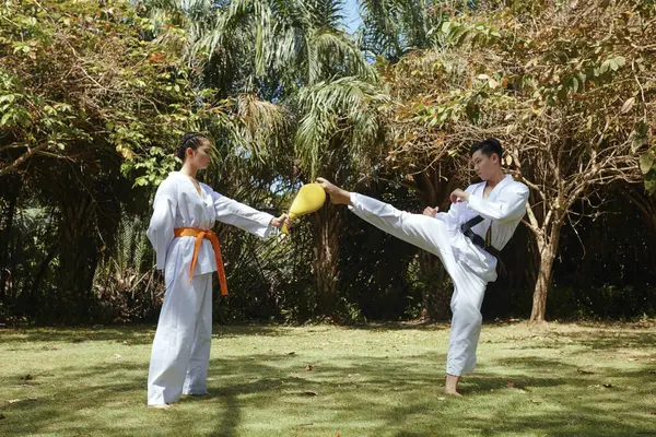 Taekwondo Atleta Chutando Almofada Mão Esportista — Fotografia de Stock