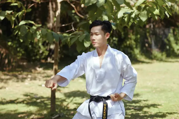 Desportista Taekwondo Concentrado Praticando Movimentos Livre — Fotografia de Stock