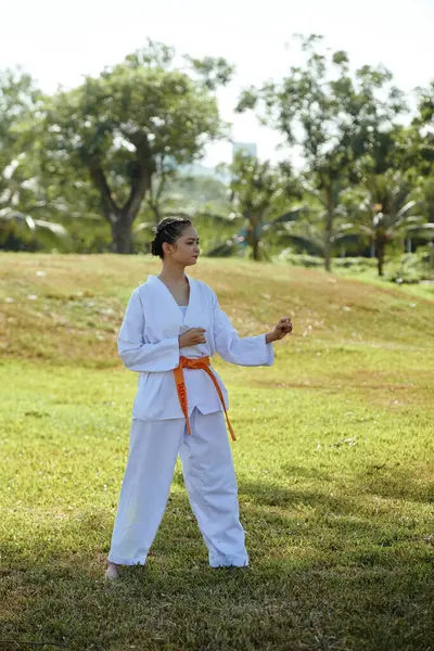 Geconcentreerde Vastberaden Taekwondo Sportvrouw Beoefenen Trance Buiten — Stockfoto