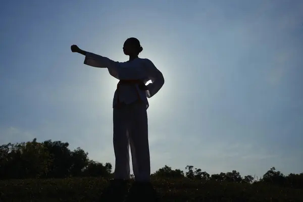 Silhueta Esportista Esticando Braço Praticar Postura Taekwondo — Fotografia de Stock