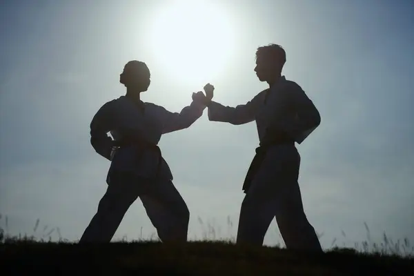 Silhouette Sportivi Taekwondo Che Lottano Contro Sole Tramonto — Foto Stock