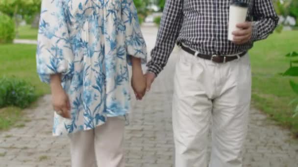 Inclinez Vous Plan Vieux Couple Asiatique Aimant Bavarder Lors Marche — Video