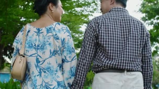 Нахилити Повільно Зріла Азіатська Пара Тримає Руки Романтичне Побачення Міському — стокове відео