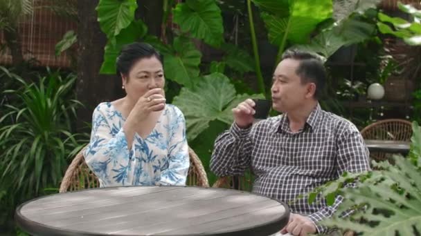Plan Moyen Conjoints Asiatiques Aînés Buvant Thé Parlant Café Extérieur — Video