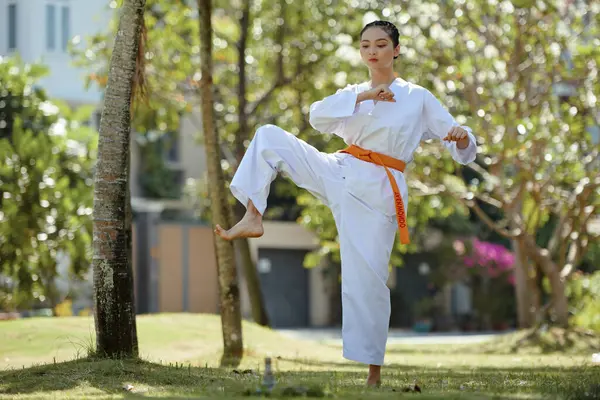 Female Taekwondo Athlete Working Out Alone Park — Stock Photo, Image