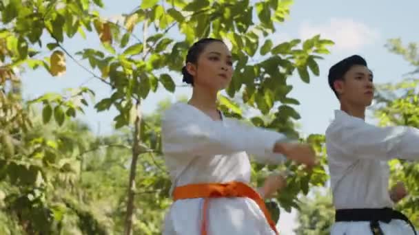 Baixo Ângulo Dois Desportistas Asiáticos Uniforme Taekwondo Trabalhando Parque Juntos — Vídeo de Stock