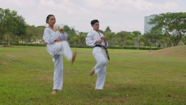Długie Ujęcie Praktykujących Taekwondo Podczas Treningu Świeżym Powietrzu Kopiowanie Przestrzeni — Wideo stockowe